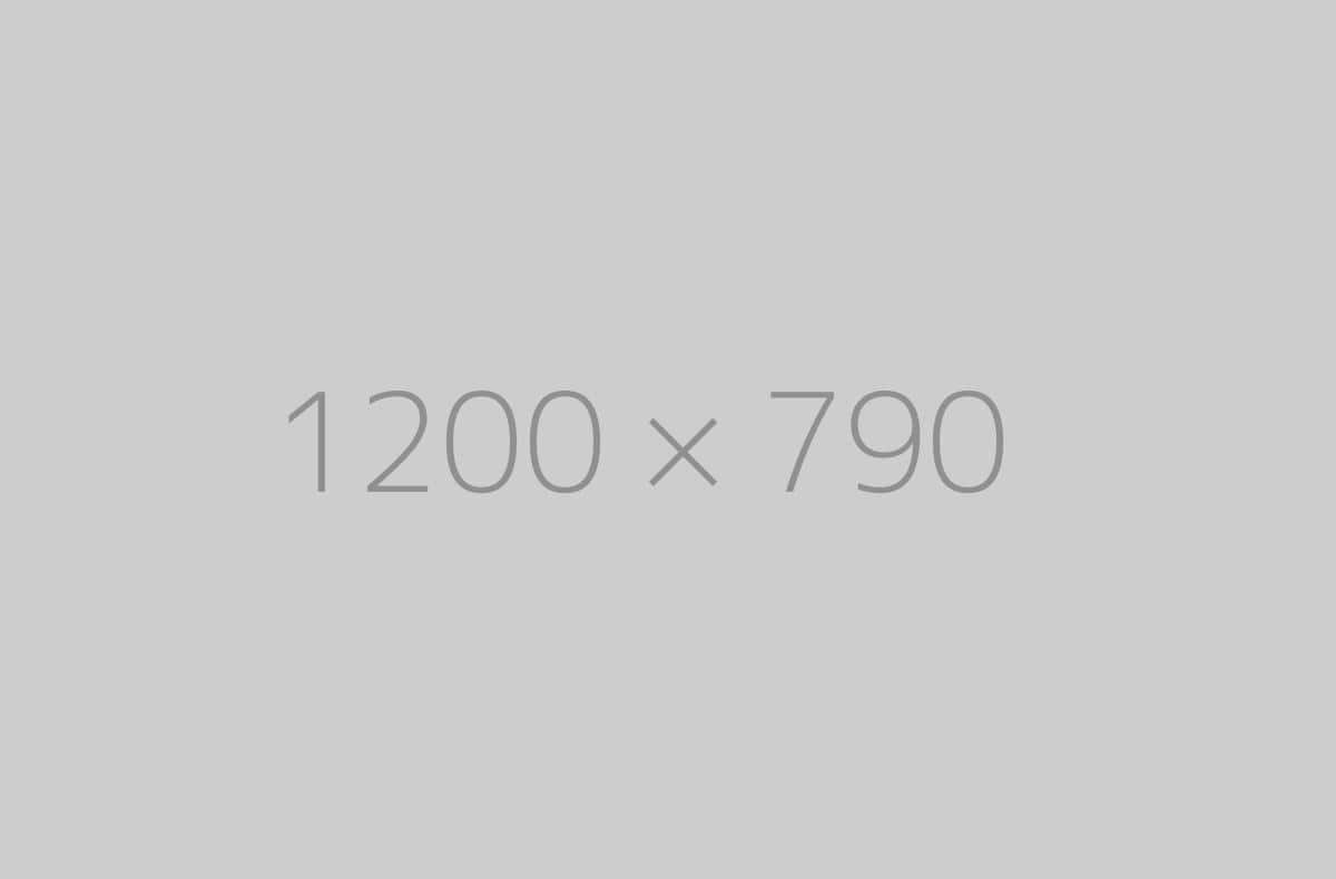 hongo 1200×790-ph