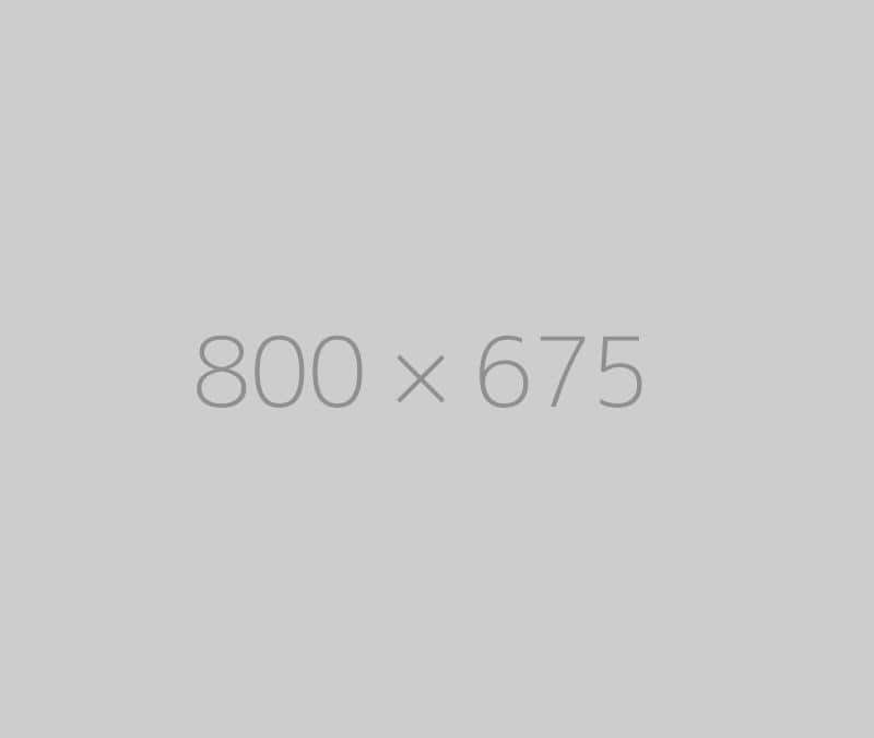 hongo 800×675-ph