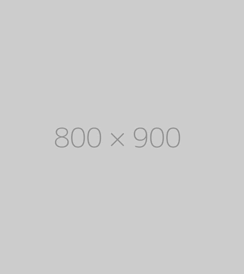 hongo 800×900-ph