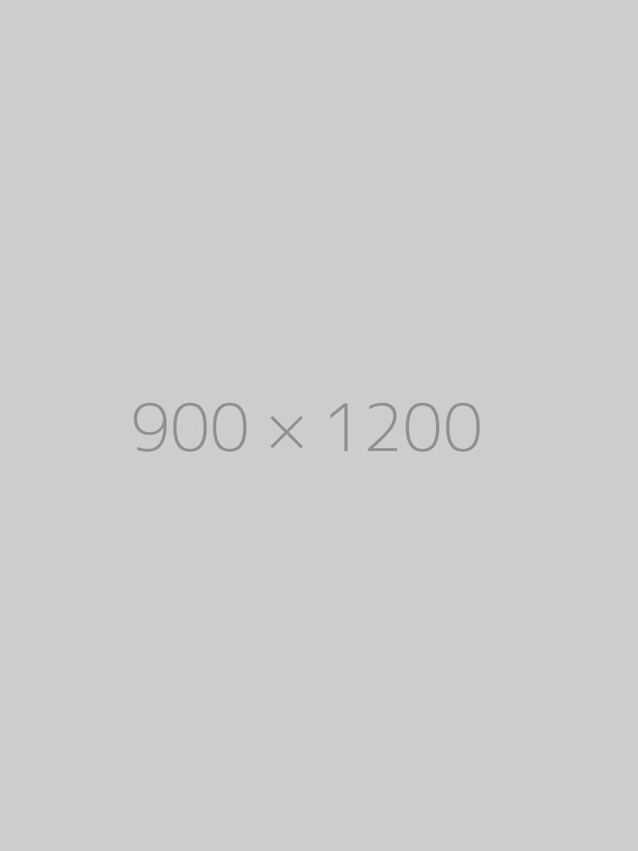 hongo 900×1200-ph