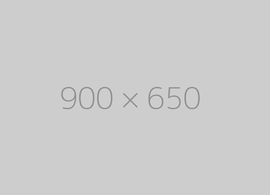 hongo 900×650-ph