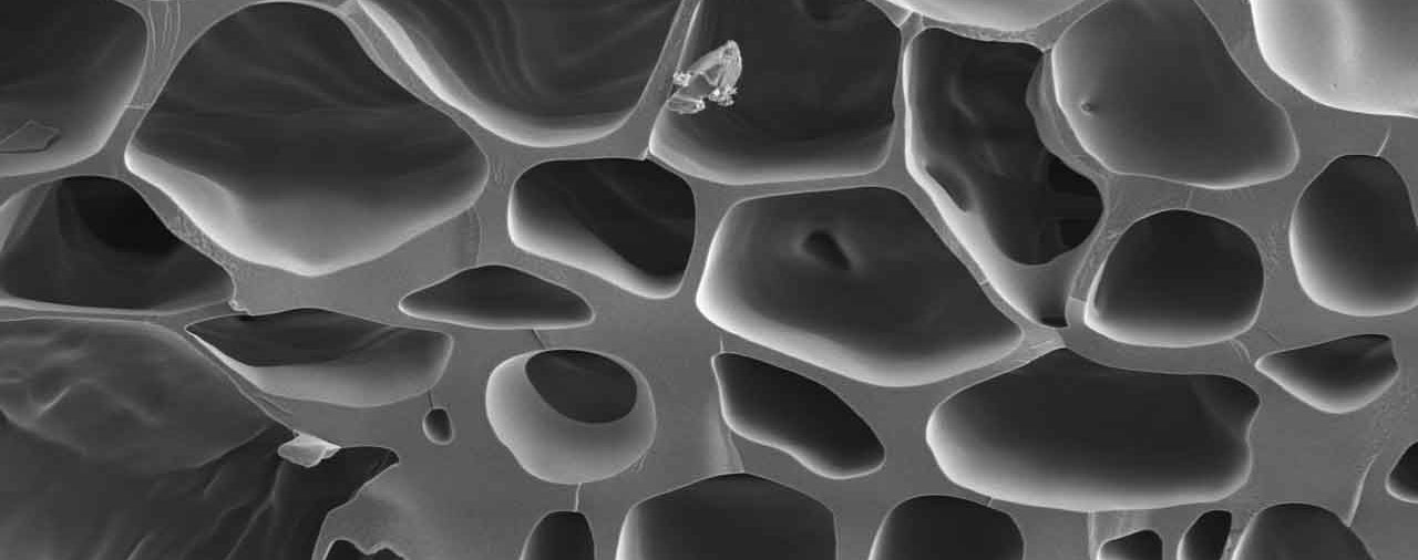 molecola biochar al microscopio